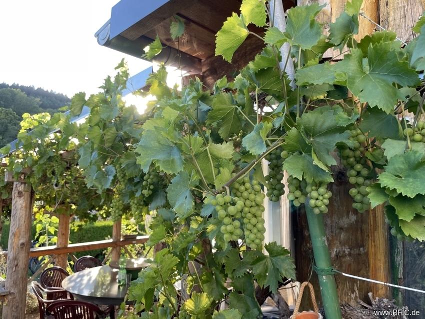 Biergarten