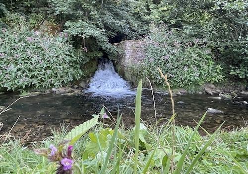 Fluss Oos