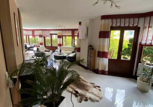 Blick ins Wohnzimmer
