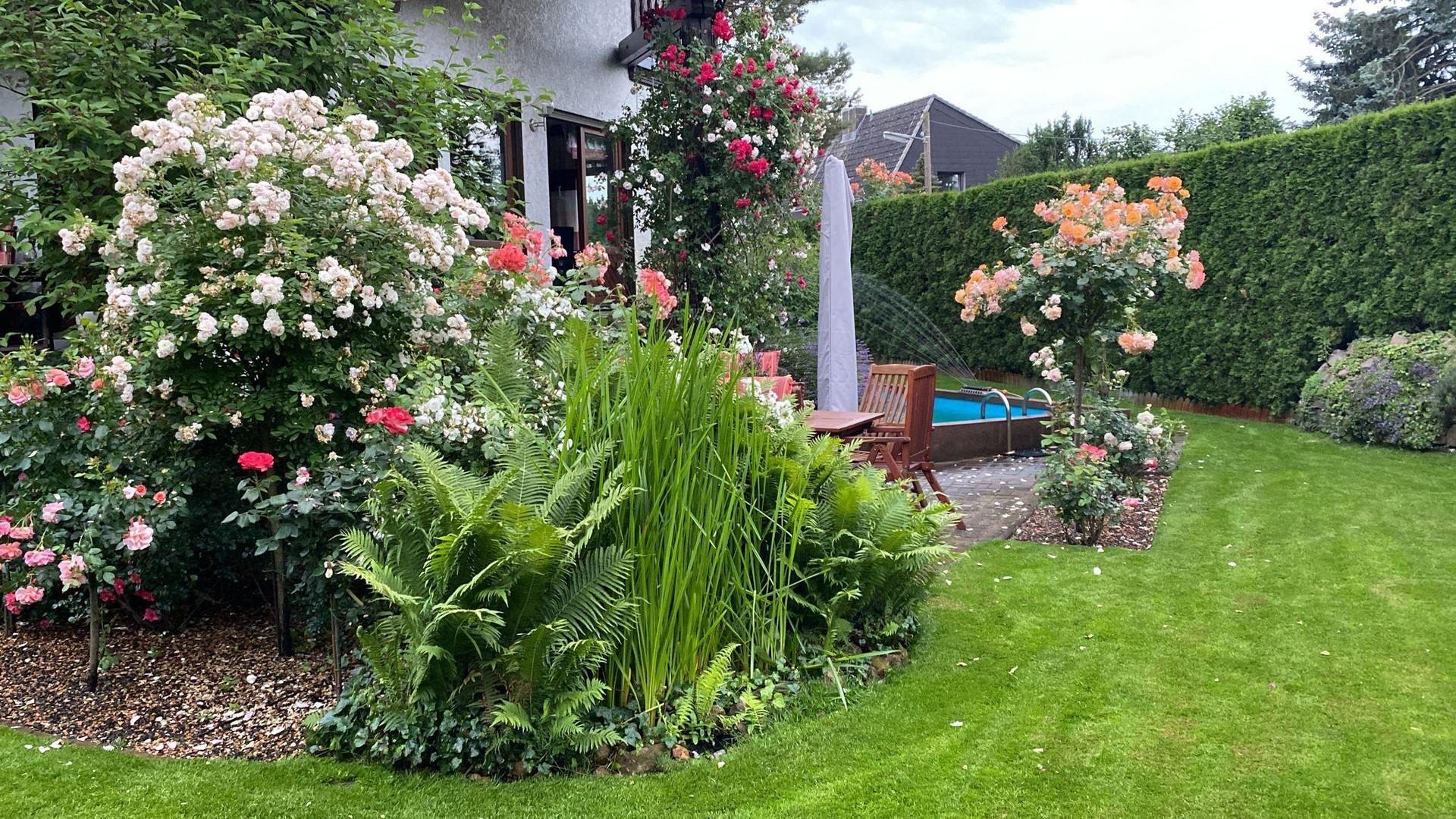 Garten 