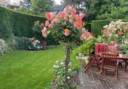Garten