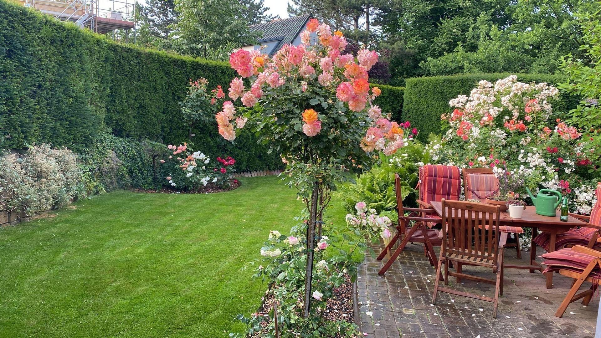 Garten