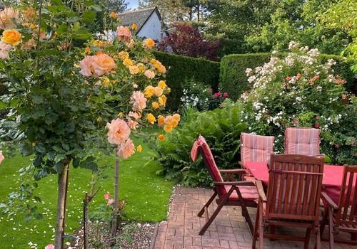 Garten mit Terrasse