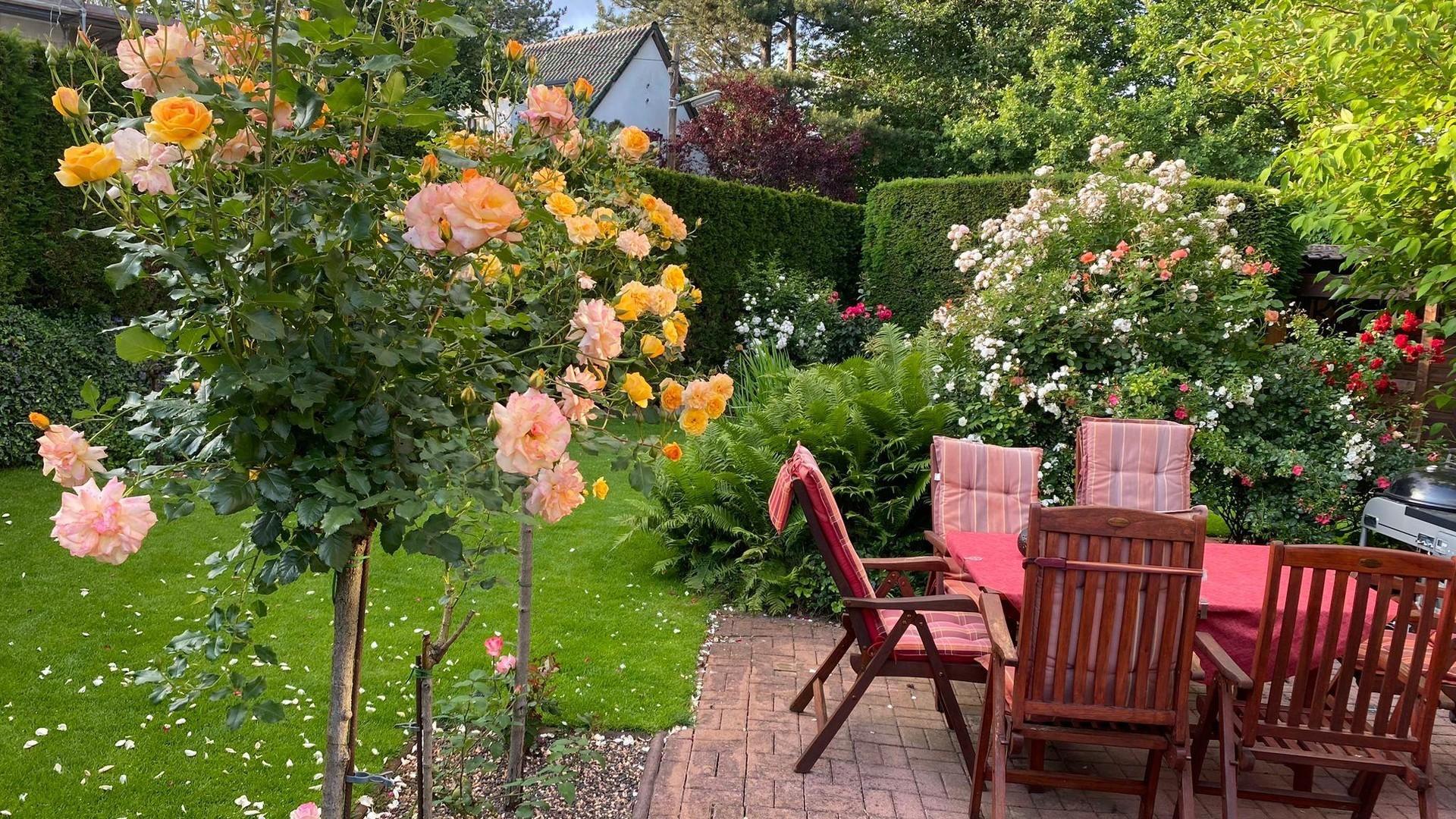 Garten mit Terrasse