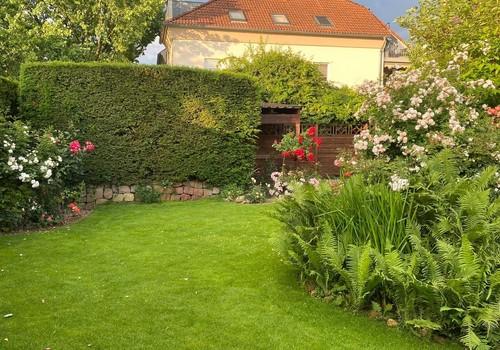 Garten