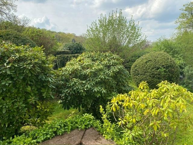 Ausblick