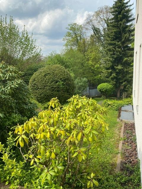 Ausblick