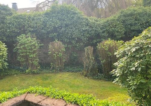 Ausblick