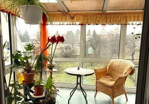 OG Wintergarten