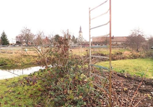 Gartenausschnitt IV