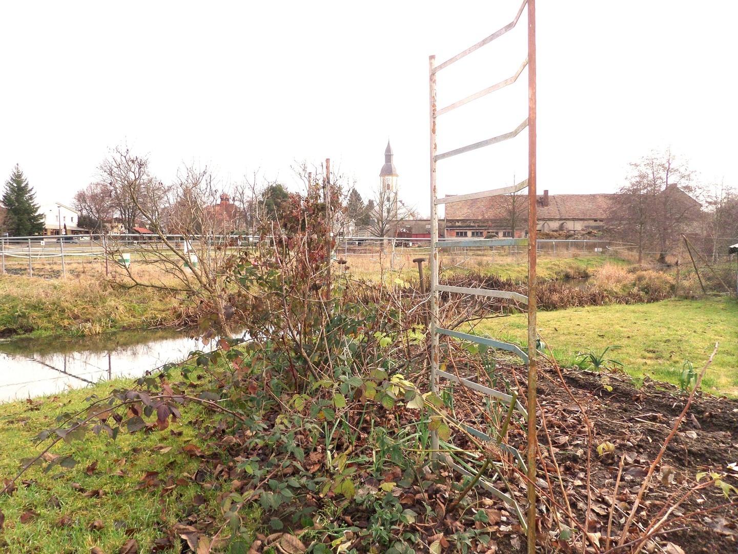Gartenausschnitt IV