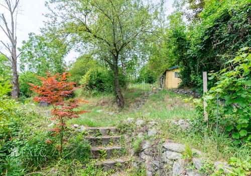 Blick in den Garten