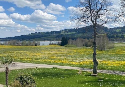 Naturparadies mit Weitblick