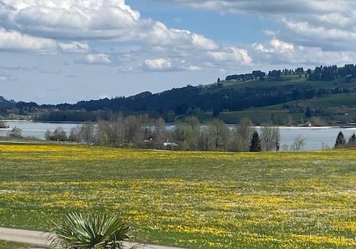Blick zum See 