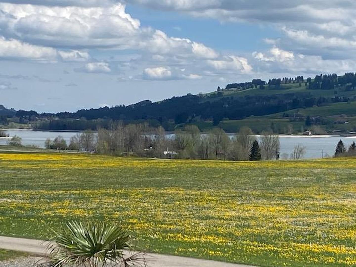 Blick zum See 