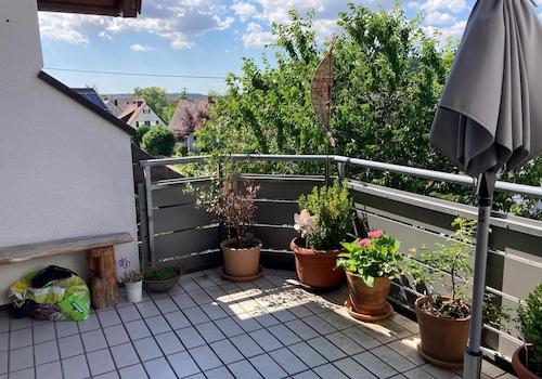 Terasse Blick ins Grüne 