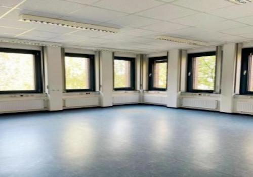 Bild...