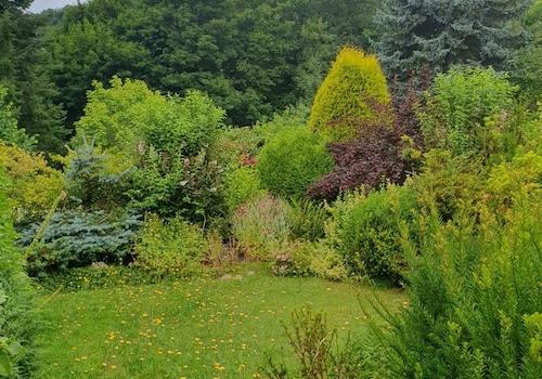 Garten, unterer Teil