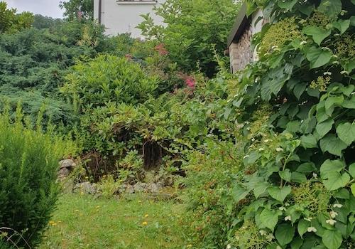 Garten, oberer Teil