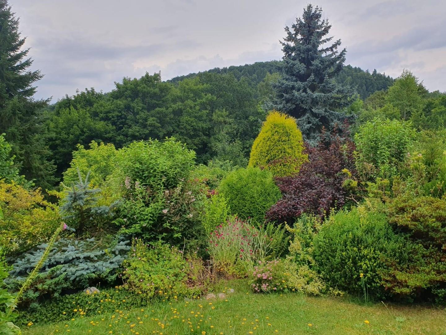 Garten, Mitte