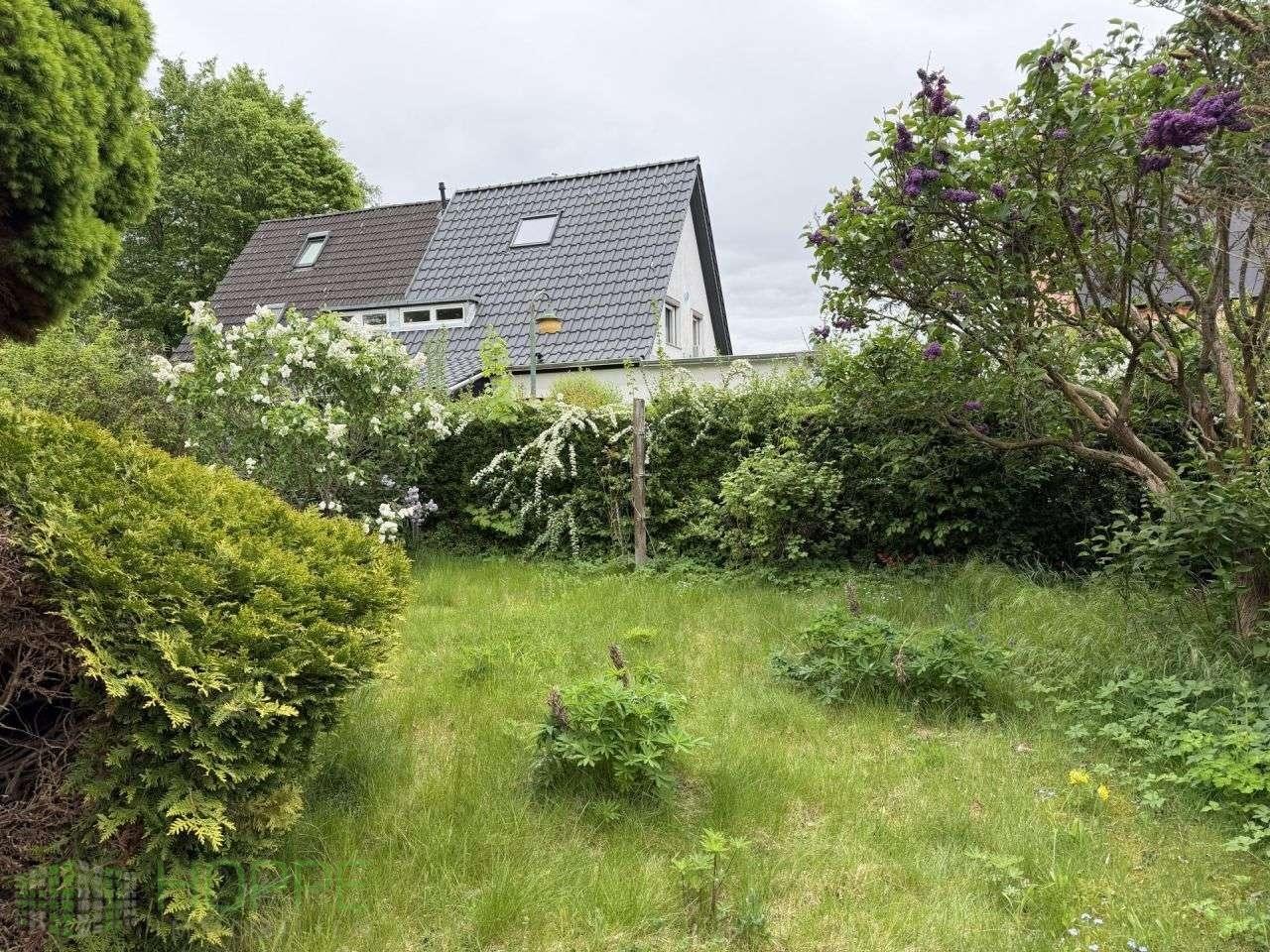 Garten Bild 1