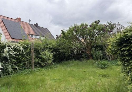 Garten Bild 2