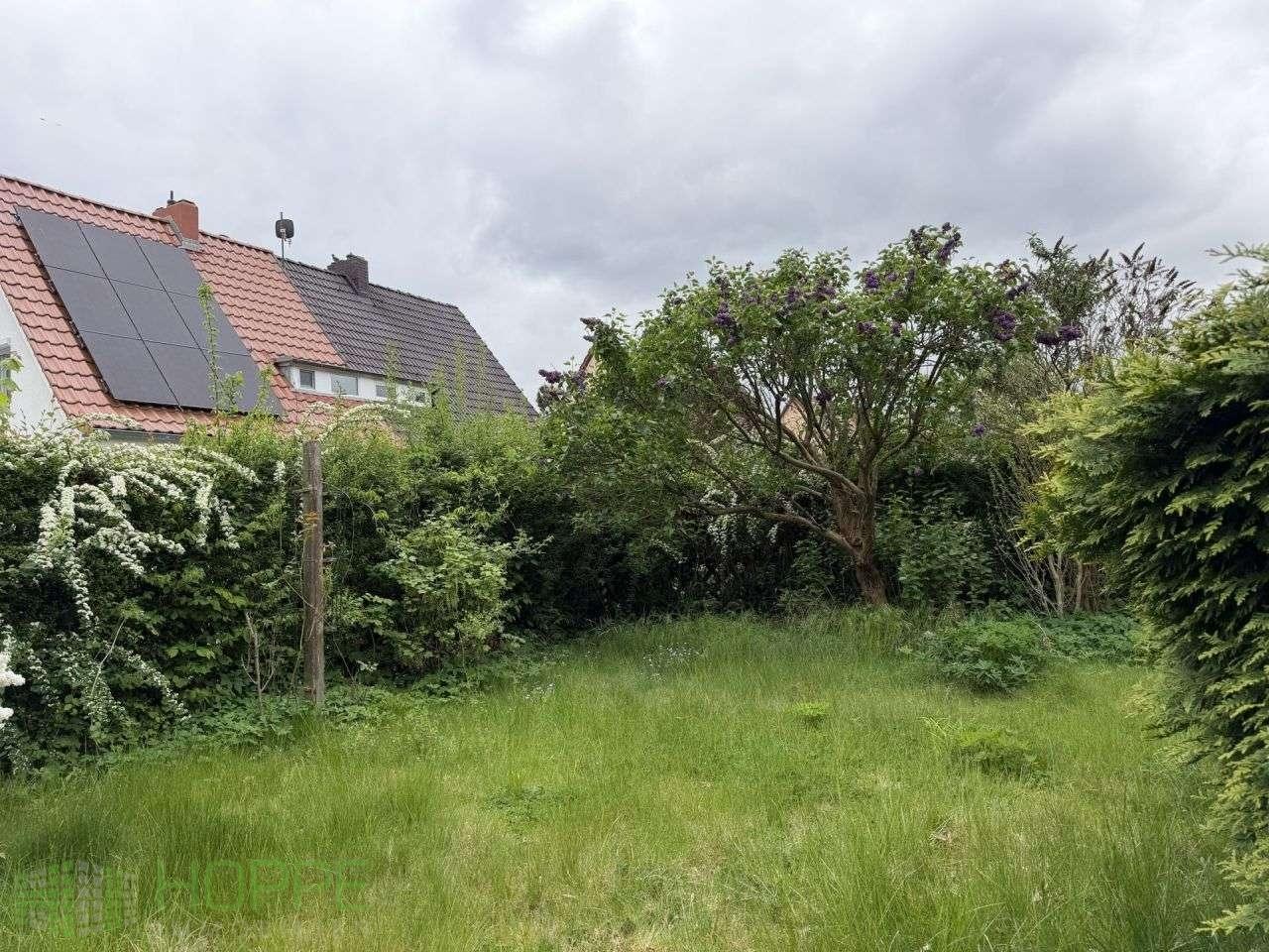 Garten Bild 2