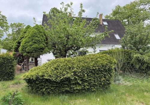 Garten Bild 3