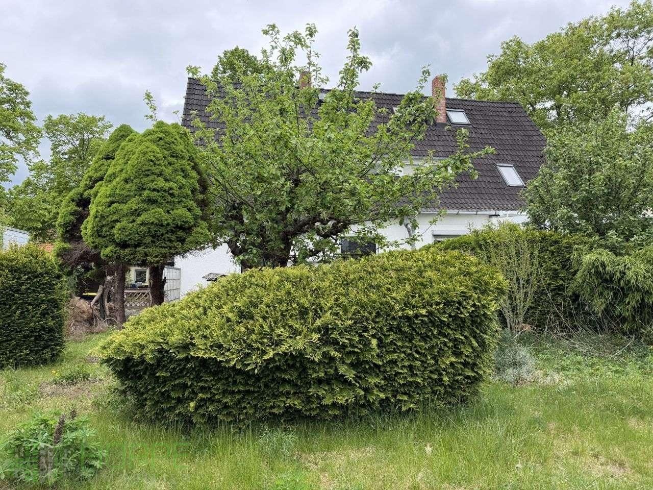 Garten Bild 3