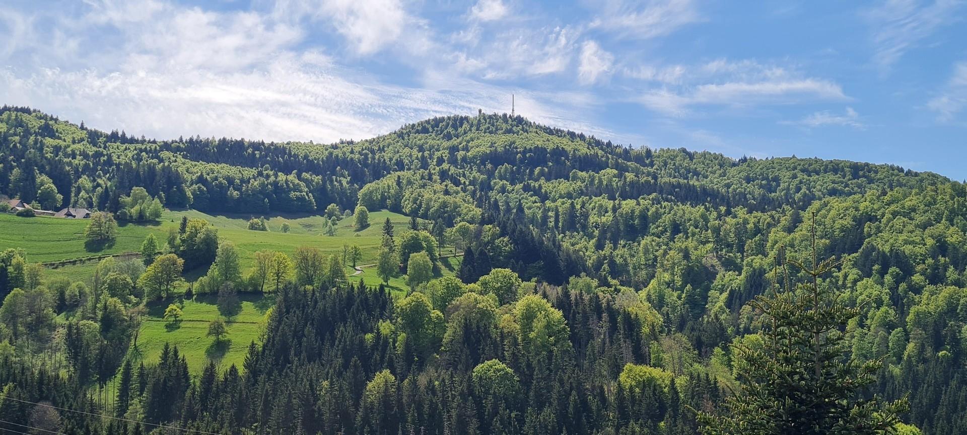 Ausblick Balkon