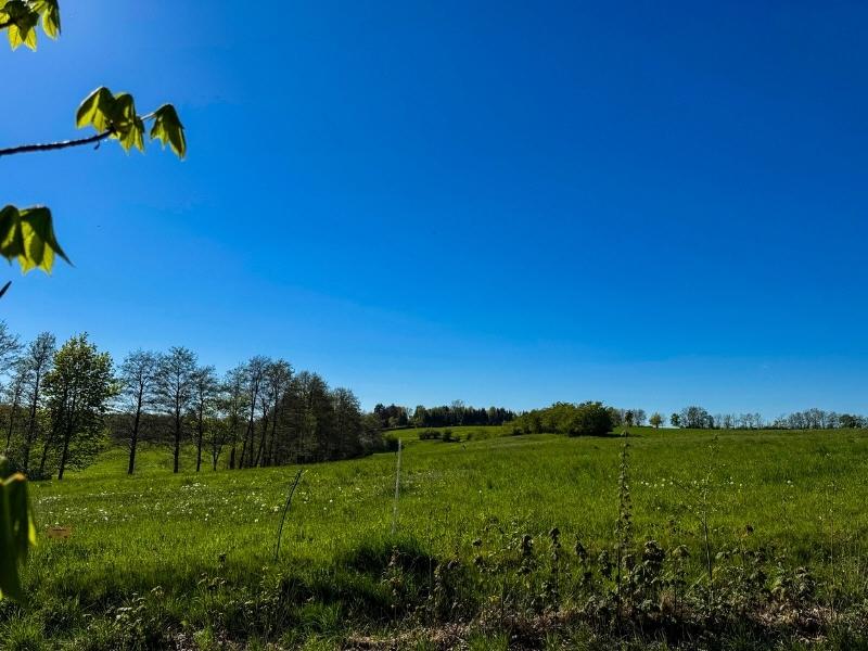 Gartensiedlung von Ost
