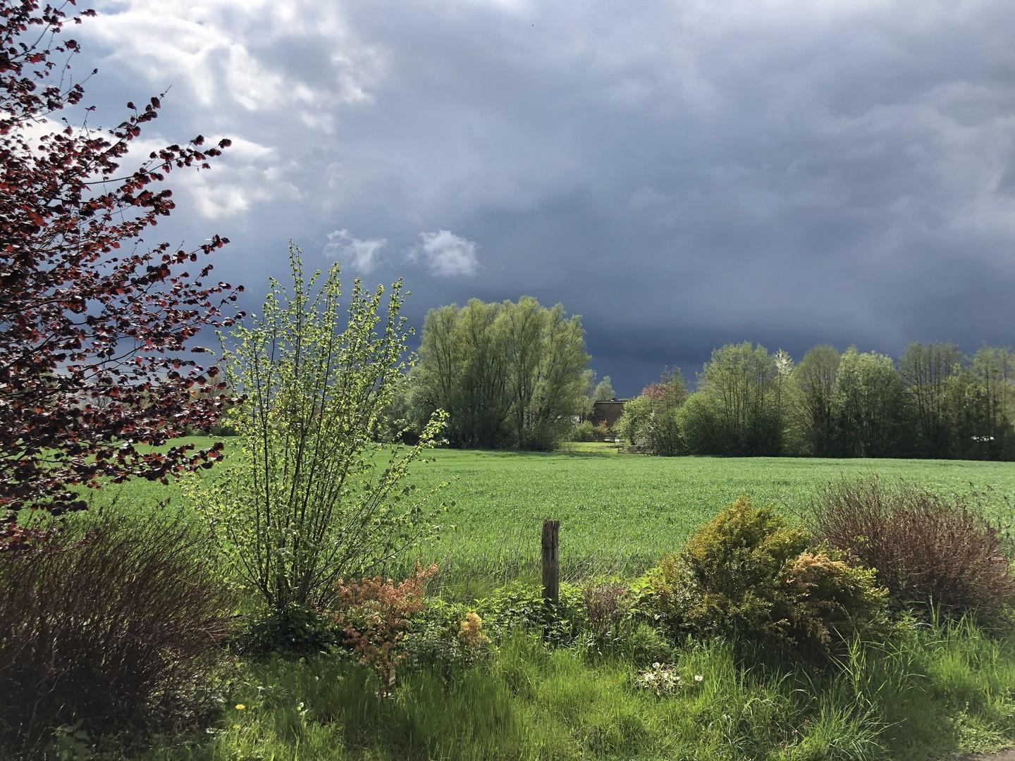 Wetter aus Sicht Wintergarten