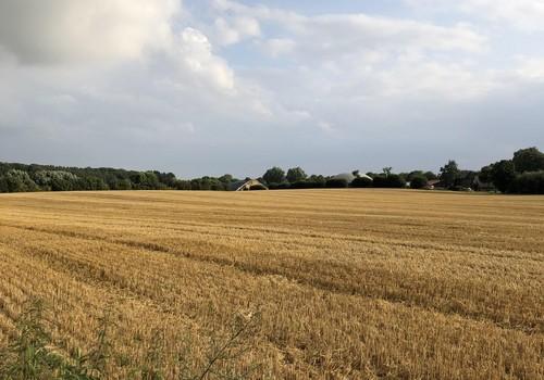 Sommerblick auf die Felder