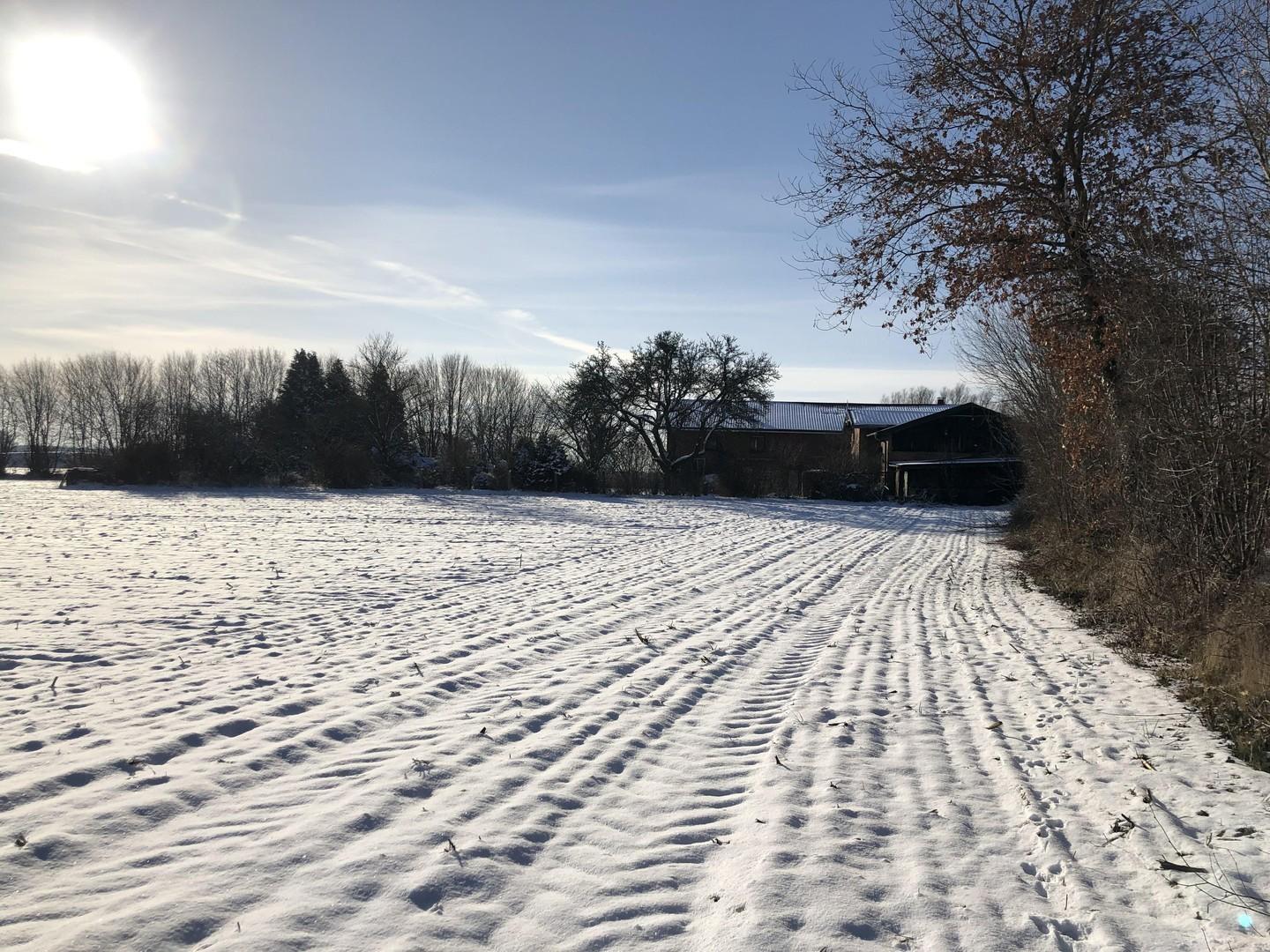 Blick auf das Anwesen - Winter