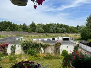 Bild5