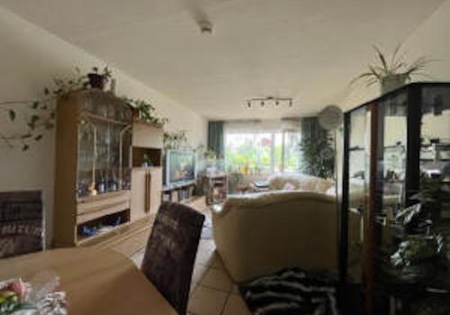 Bild8