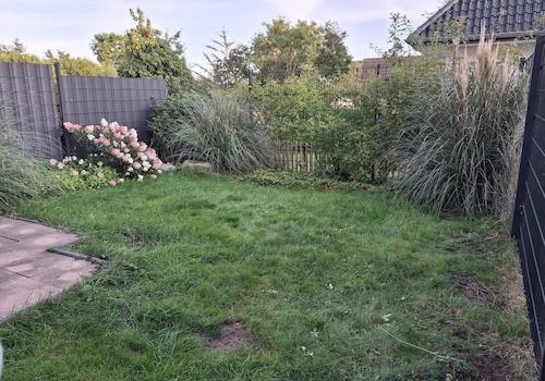 schön eingewachsener Garten