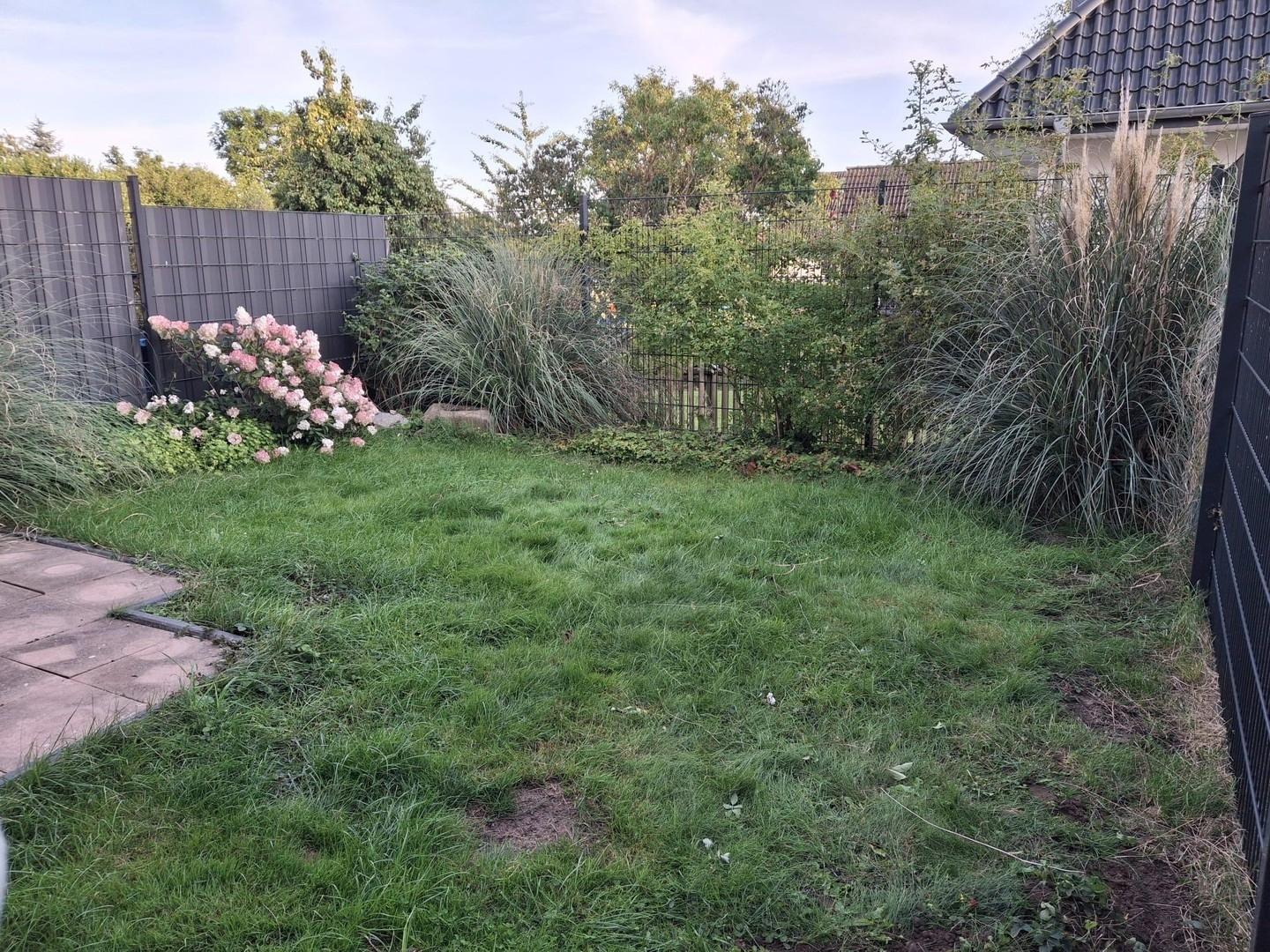 schön eingewachsener Garten