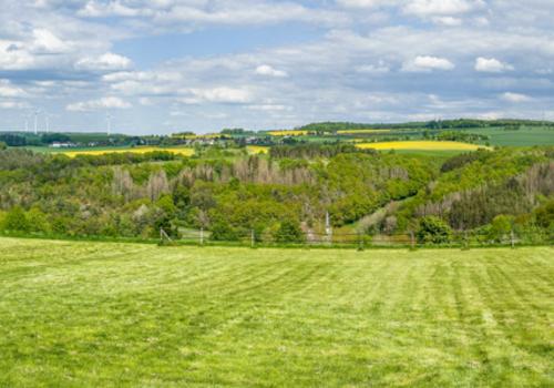 Panoramablick