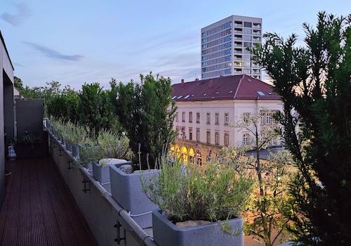 Ausblick vom Balkon