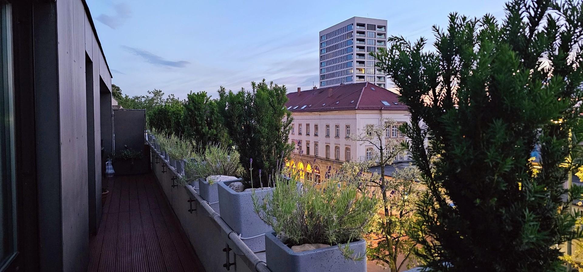 Ausblick vom Balkon