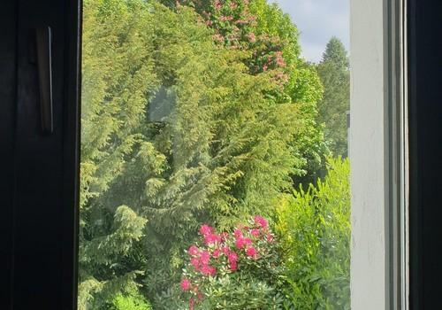 Blick aus dem Bett