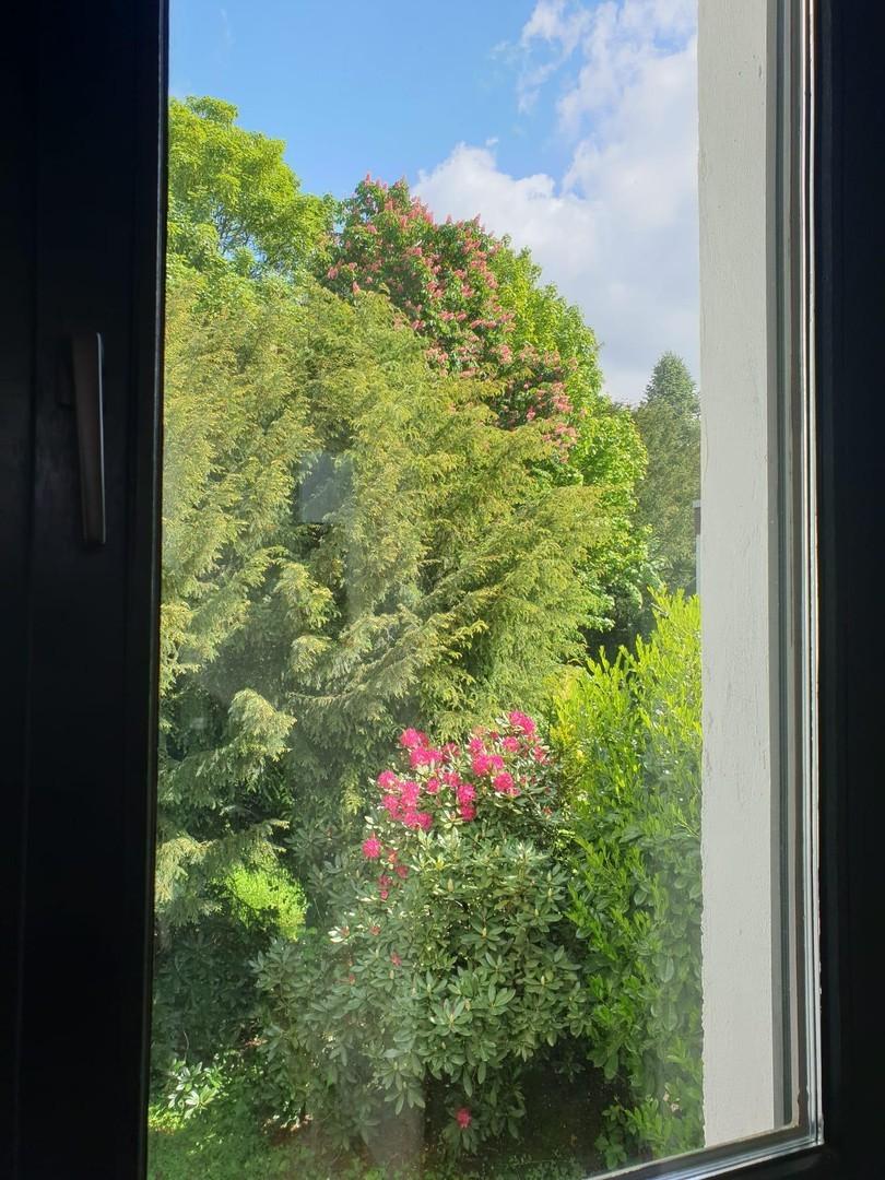 Blick aus dem Bett