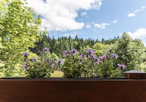 Ausblick vom Ost-Balkon