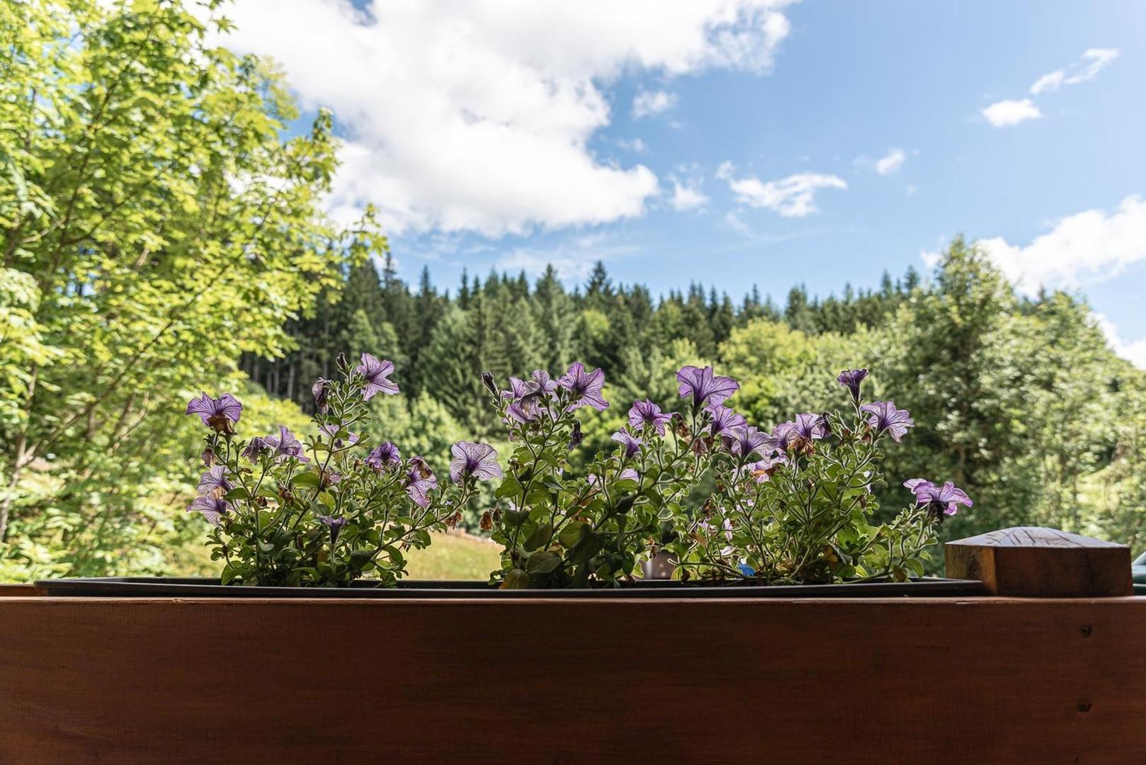 Ausblick vom Ost-Balkon