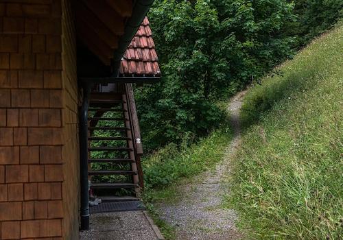 Privatweg zum Wald