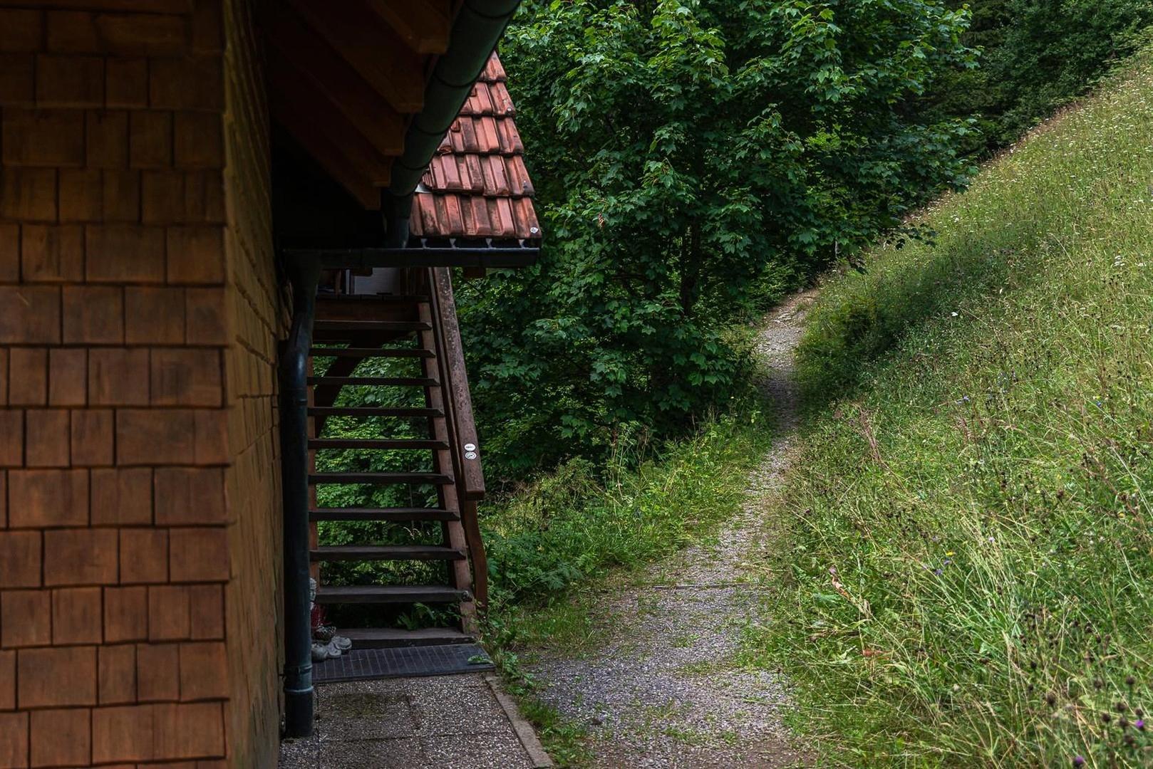 Privatweg zum Wald