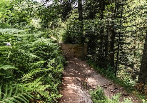 Grundstückszugang vom Wald