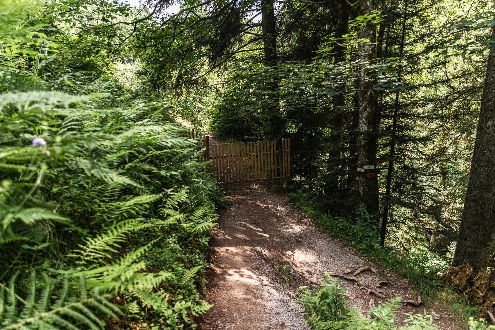 Grundstückszugang vom Wald