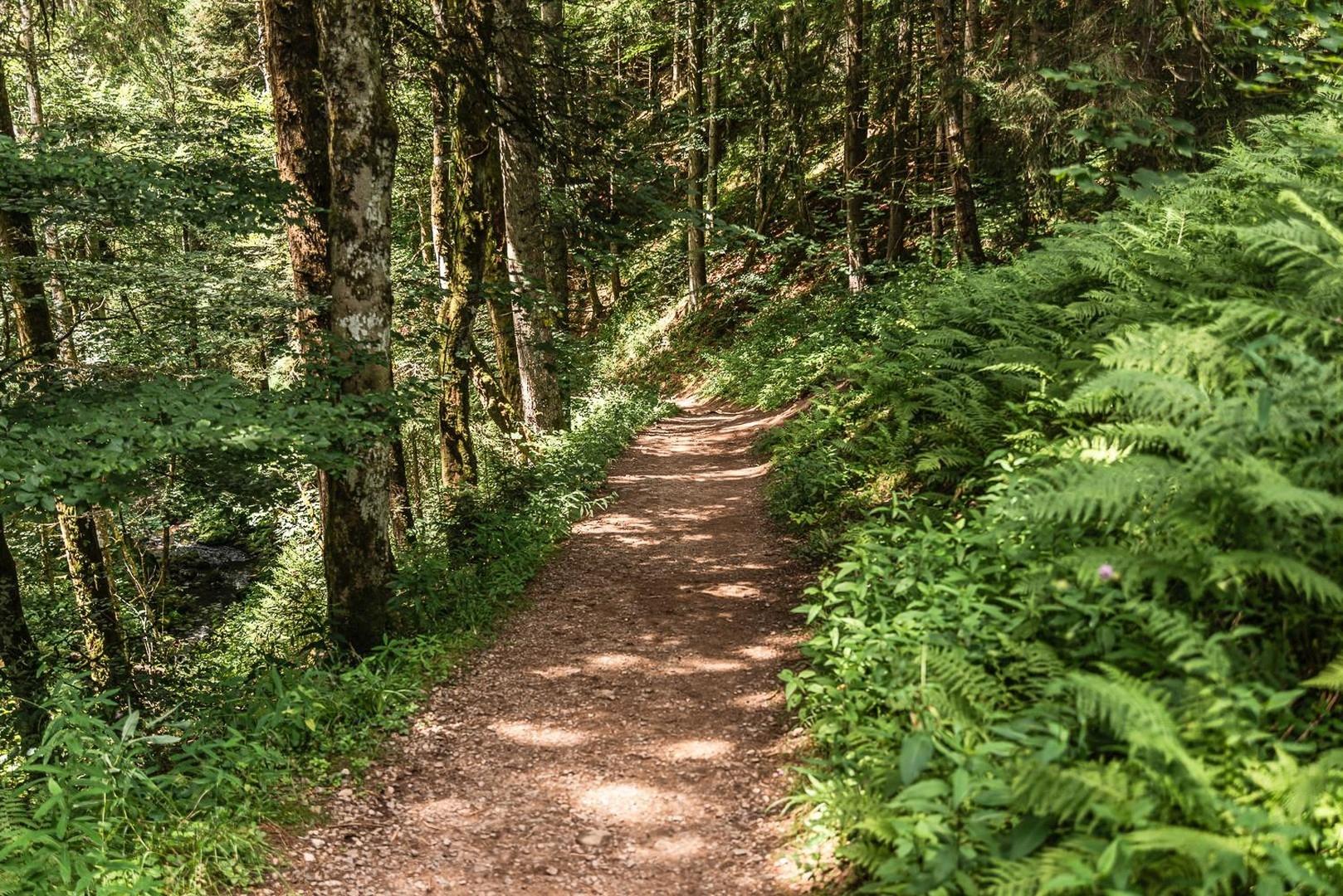 Wanderweg Ravennaschlucht